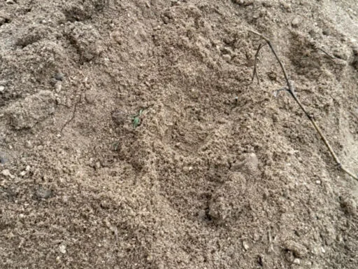 Areia grossa