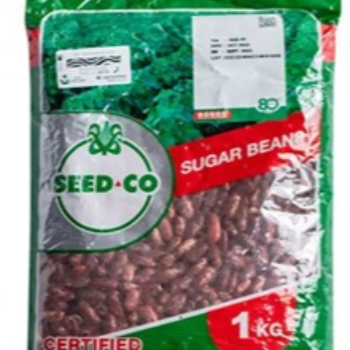 Semente de FEIJAO VULGAR NUA 45,SEED 1KG