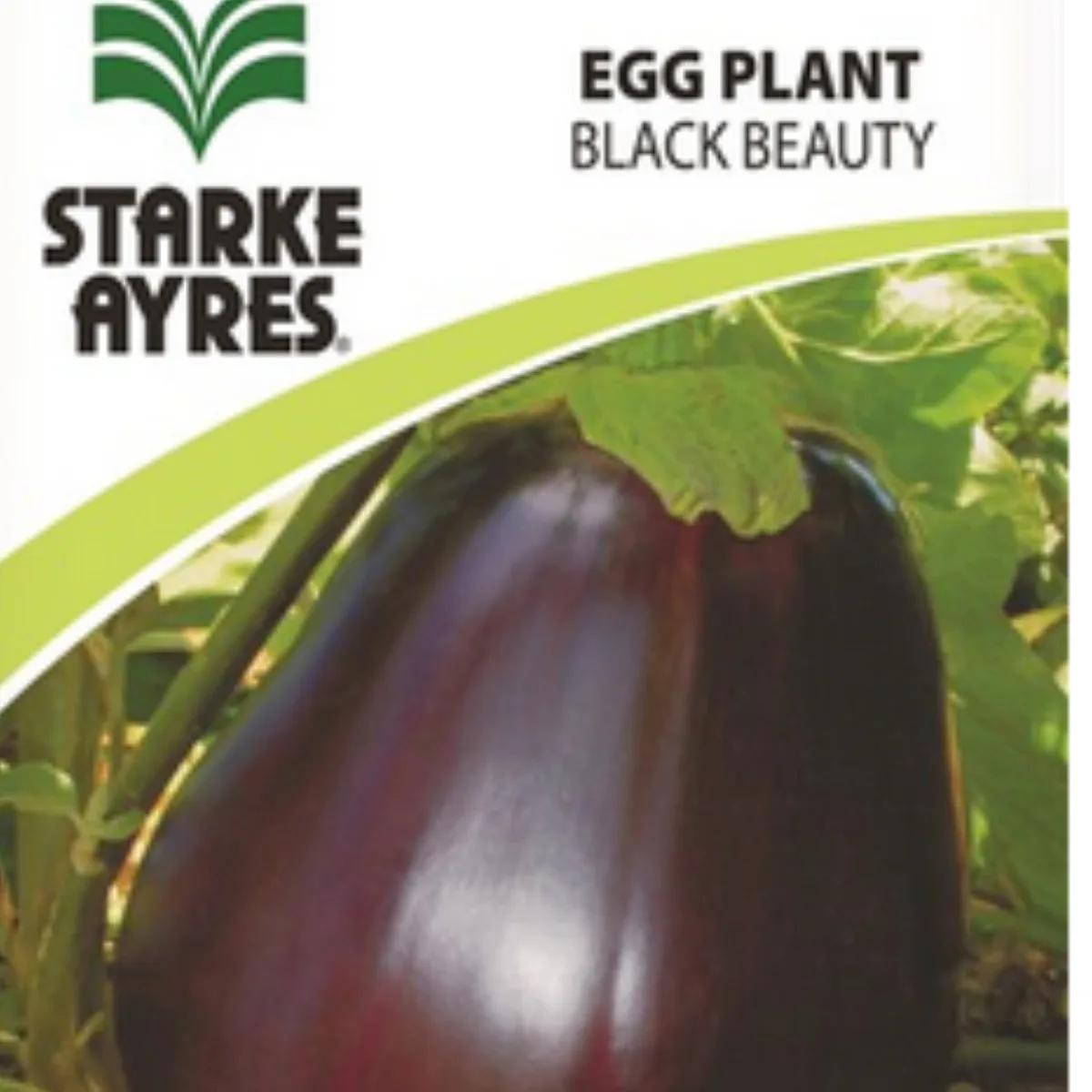 Semente de BERINGELA BLACK BEAUTY,10G STARKE