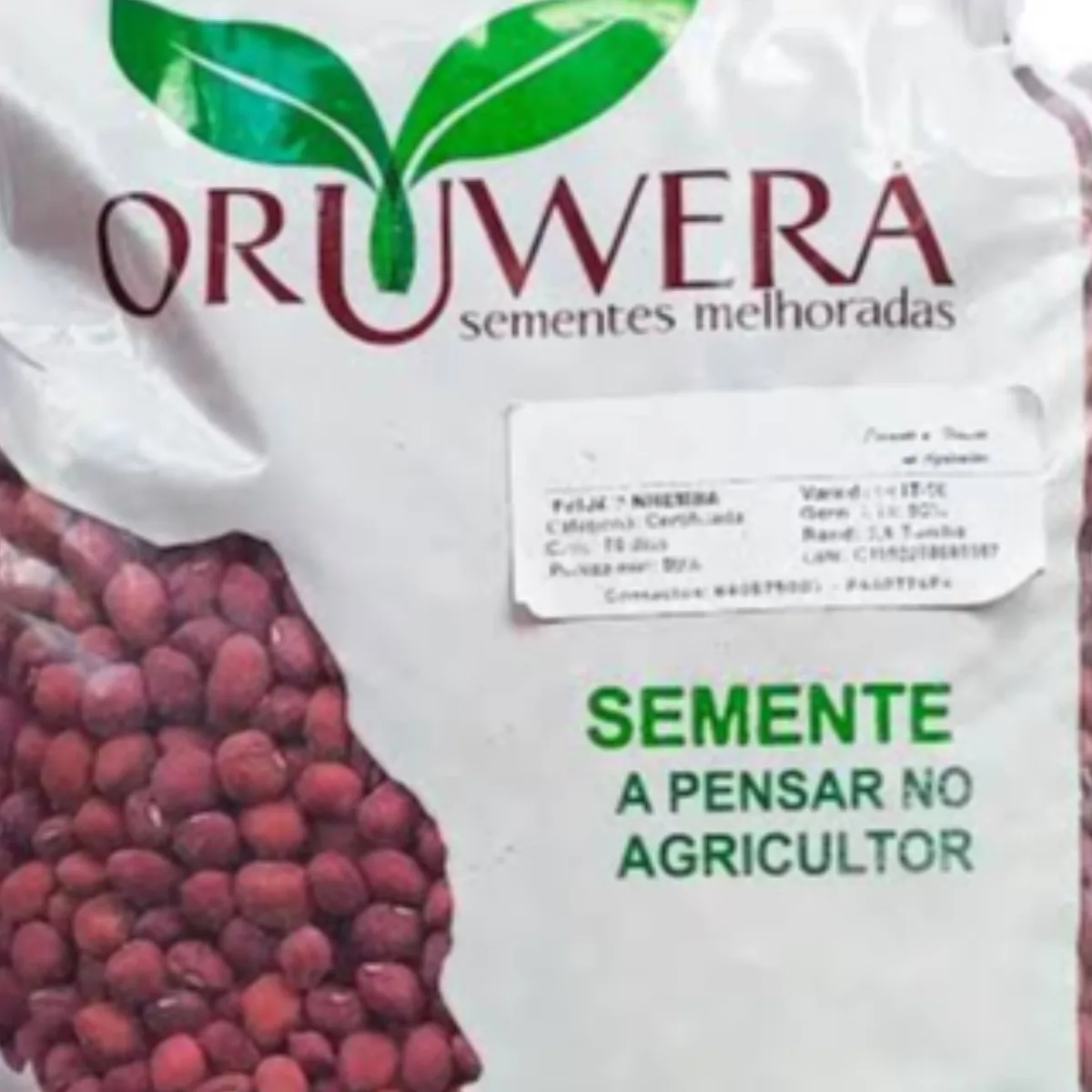 Semente de FEIJAO NHEMBA, 1KG